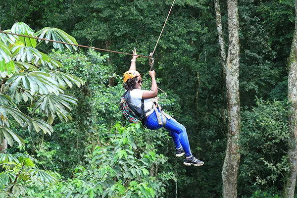 Zipline